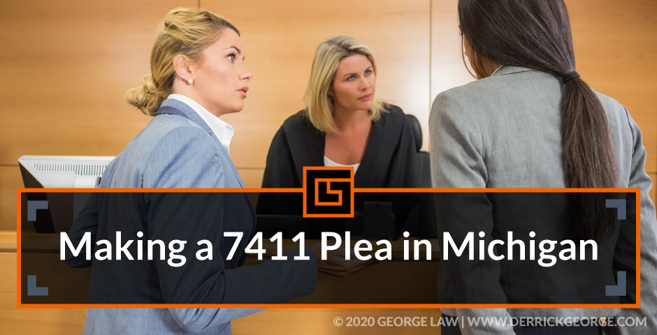 making a 7411 plea in michigan blog img